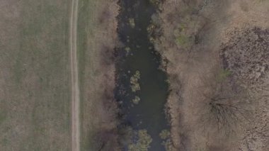 Uçuş bataklık ve göllerde ile alanın üzerinde. Havadan görünümü. Video 4k