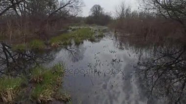 Bataklık üzerinde uçan düşük. Havadan görünümü. Video 4k