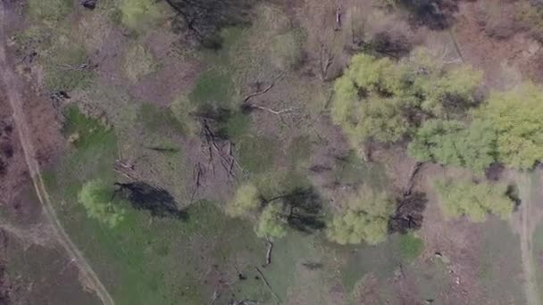 Vuelo sobre el campo con pantano y lagos. Vista aérea. Video 4k — Vídeo de stock