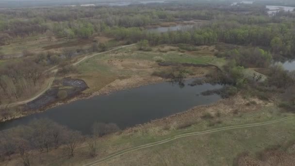 Vuelo sobre el campo con pantano y lagos. Vista aérea. Video 4k — Vídeos de Stock