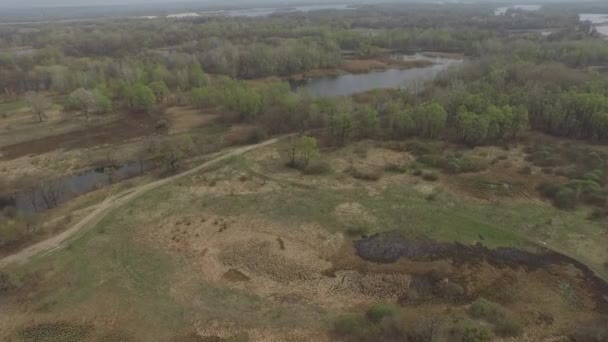 Vlucht over het veld met moeras en meren. Luchtfoto. 4k video — Stockvideo
