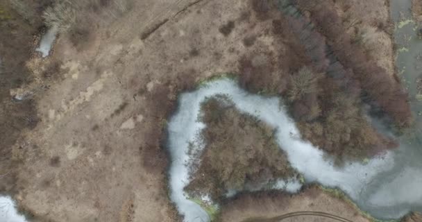 Survolez le champ avec des marais et des lacs en hiver. Vue aérienne. Vidéo 4k 