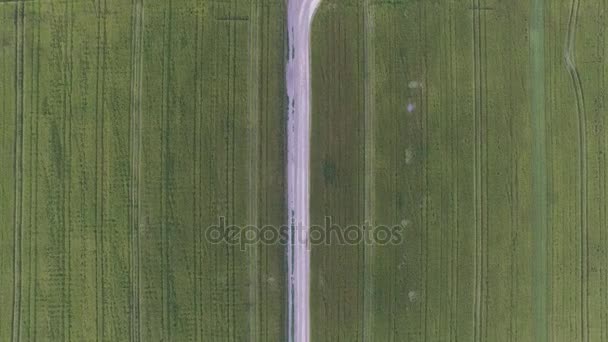 Uçuş günbatımı buğday alanında üzerinde. Havadan görünümü — Stok video