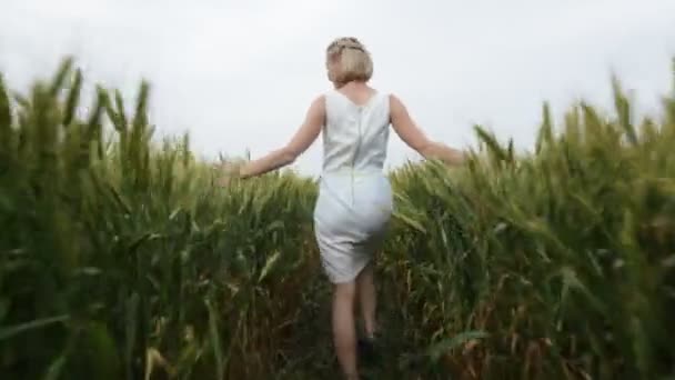 Frau mit blonden Haaren in blauem Kleid geht mit Weizen auf dem Feld. — Stockvideo