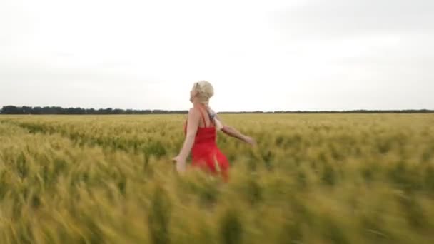 Vrouw met blonde haren in een rode jurk loopt in het veld met tarwe. — Stockvideo