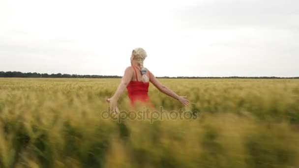 Женщина с светлыми волосами в красном платье бегает по полю с пшеницей . — стоковое видео