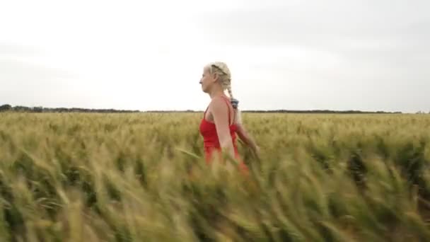 Vrouw met blonde haren in een rode jurk wandelen in het veld met tarwe. — Stockvideo