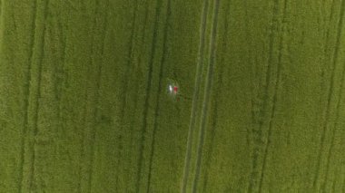 İki kadın bir kırmızı ve mavi elbiseli sarı saçlı buğday alanında yalan söylüyorsun.