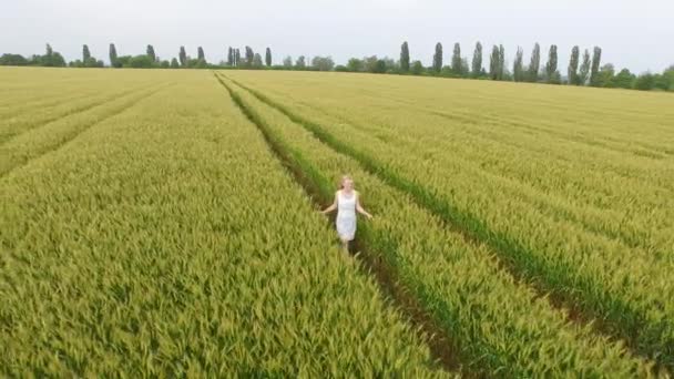 Mujer con el pelo rubio en un vestido azul caminando en el campo con trigo . — Vídeos de Stock