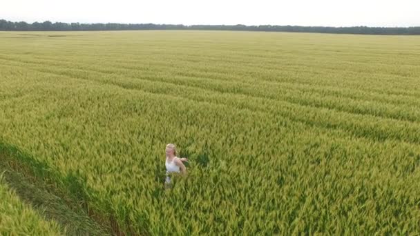 畑に小麦を歩いて青いドレスのブロンドの髪を持つ女性. — ストック動画