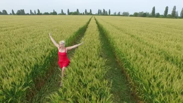 Vrouw met blonde haren in een rode jurk runsin het veld met tarwe. — Stockvideo