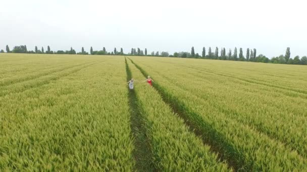 Two woman with blonde hair in a red and blue dress runing in the field with wheat. — Stock Video