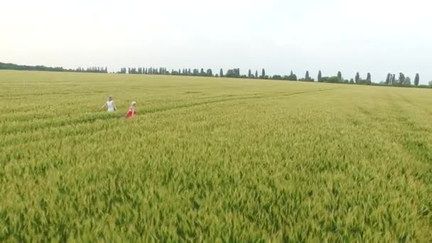 Due donne con i capelli biondi in un abito rosso e blu che camminano nel campo con il grano . — Video Stock