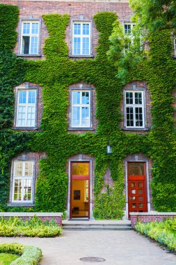 Bina görünümünü Ivy Wawel Castle ile kaplı. Krakow