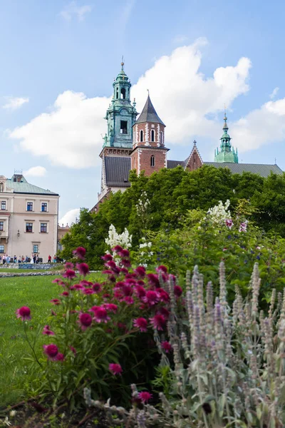 带有花园，克拉科夫，波兰的瓦维尔城堡和大教堂视图 — 图库照片