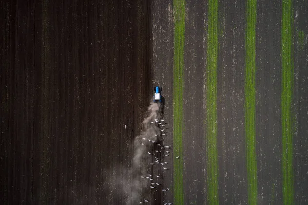 Campo de cultivo del tractor en primavera, vista aérea — Foto de Stock
