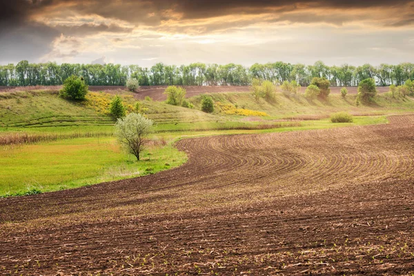 Красиві української краєвид з весняно-польових після посадки. — стокове фото