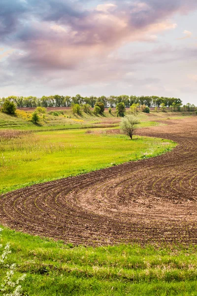 Beau paysage ukrainien avec un champ de printemps après la plantation . — Photo