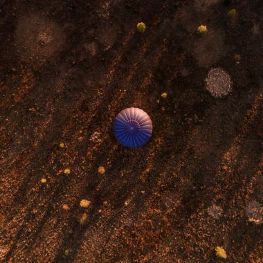 Doğa fonunda günbatımında balon.