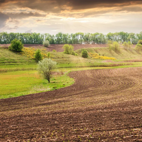 Красиві української краєвид з весняно-польових після посадки. — стокове фото