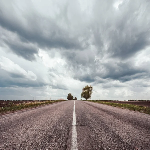 フィールド間のアスファルト道路 — ストック写真