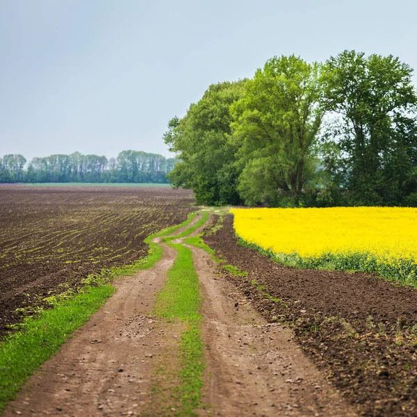 Beau paysage ukrainien avec un champ de printemps après la plantation . — Photo