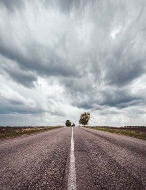 Alan arasındaki asfalt yol