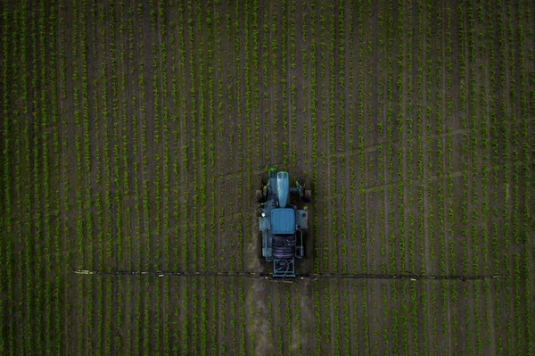 The tractor spraying the field with chemicals in the spring — Stock Photo, Image