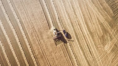 Çalışma alanı ve Mowser buğday hasat. Ukrayna. Havadan görünümü.