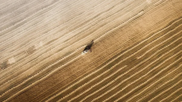 Cosechadora trabajando en el campo y siega trigo. Ucrania. Vista aérea . — Foto de Stock