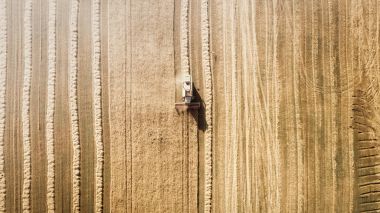 Çalışma alanı ve Mowser buğday hasat. Ukrayna. Havadan görünümü.