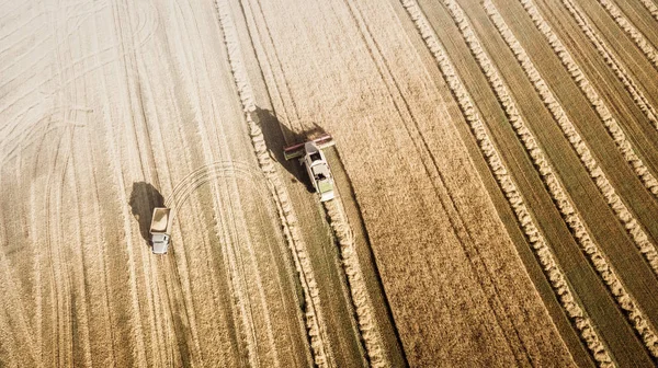 Pemanen bekerja di ladang dan memotong gandum. Ukraina. Tampilan udara . — Stok Foto