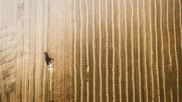 Kombajn v poli a žne pšenici. Ukrajina. Letecký pohled. — Stock fotografie