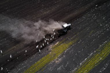 İlkbaharda traktör tarlası, hava manzarası.