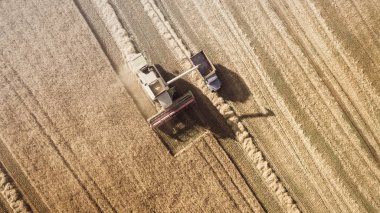 Çalışma alanı ve Mowser buğday hasat. Ukrayna. Havadan görünümü.