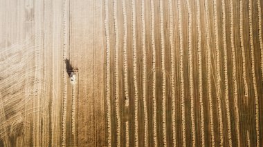 Çalışma alanı ve Mowser buğday hasat. Ukrayna. Havadan görünümü.