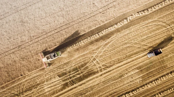 Harvester working in field and mows wheat. Ukraine. Aerial view. — Stock Photo, Image