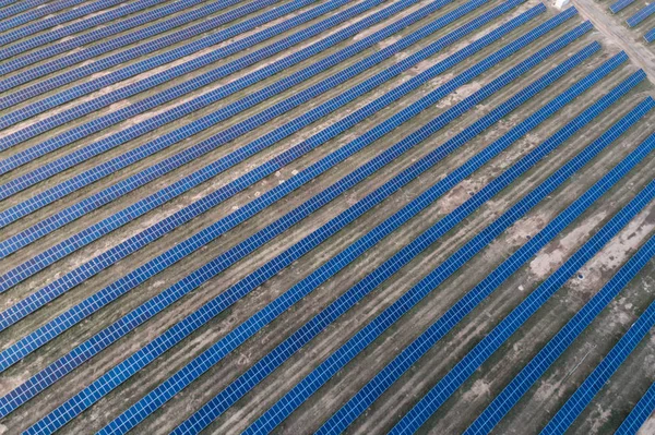 Sonnenkollektoren auf einer grünen Wiese platziert. — Stockfoto