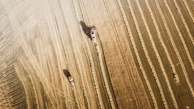 Çalışma alanı ve Mowser buğday hasat. Ukrayna. Havadan görünümü.