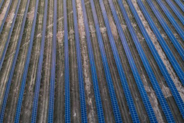 Kırsal bir çayıra yerleştirilmiş güneş panelleri.