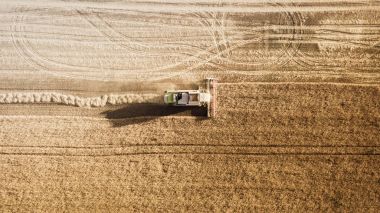 Çalışma alanı ve Mowser buğday hasat. Ukrayna. Havadan görünümü.