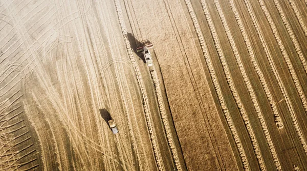 Çalışma alanı ve Mowser buğday hasat. Ukrayna. Havadan görünümü.