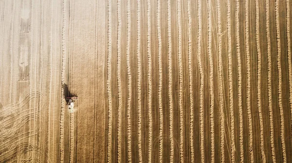 Harvester working in field and mows wheat. Ukraine. Aerial view. — Stock Photo, Image