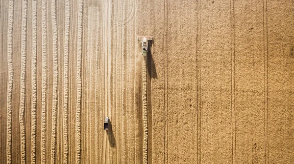 수확 필드와 mows 밀에서 일입니다. 우크라이나. 공중 보기. — 스톡 사진