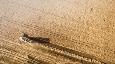 Çalışma alanı ve Mowser buğday hasat. Ukrayna. Havadan görünümü.