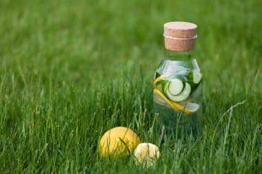 Yaz taze limonata limon, nane ve salatalık. Suyu Detoks