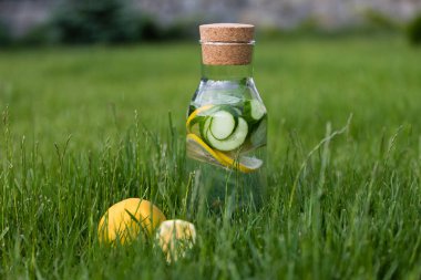 Yaz taze limonata limon, nane ve salatalık. Suyu Detoks