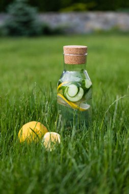 Yaz taze limonata limon, nane ve salatalık. Suyu Detoks