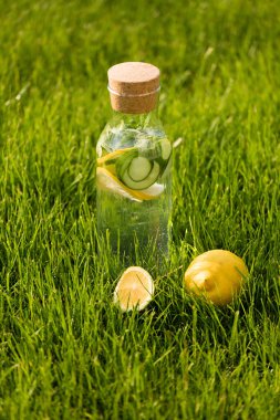 Yaz taze limonata limon, nane ve salatalık. Suyu Detoks