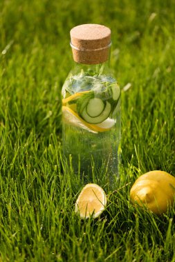 Yaz taze limonata limon, nane ve salatalık. Suyu Detoks